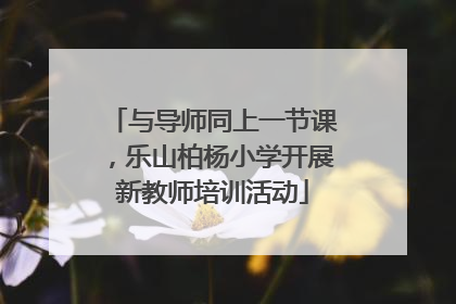 与导师同上一节课，乐山柏杨小学开展新教师培训活动