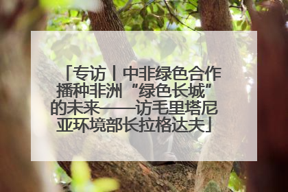 专访丨中非绿色合作播种非洲“绿色长城”的未来——访毛里塔尼亚环境部长拉格达夫