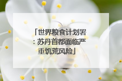世界粮食计划署：苏丹首都面临严重饥荒风险