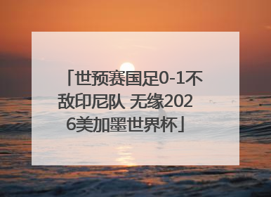 世预赛国足0-1不敌印尼队 无缘2026美加墨世界杯