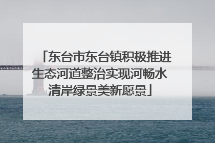 东台市东台镇积极推进生态河道整治实现河畅水清岸绿景美新愿景