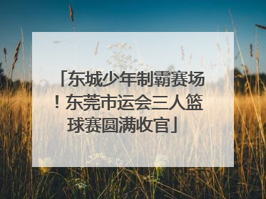 东城少年制霸赛场！东莞市运会三人篮球赛圆满收官