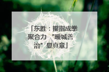 东胜：攥指成拳聚合力 “暖城善治”显真章
