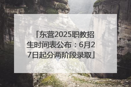 东营2025职教招生时间表公布：6月27日起分两阶段录取
