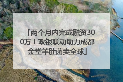 两个月内完成融资300万！政银联动助力成都金堂羊肚菌卖全球