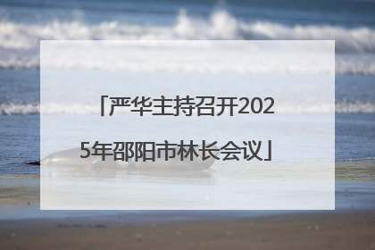 严华主持召开2025年邵阳市林长会议