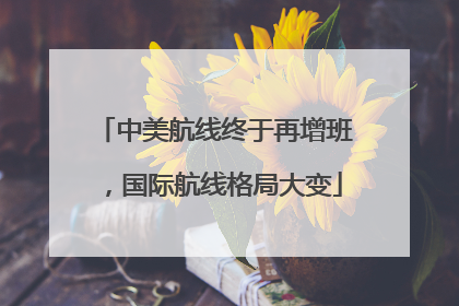 中美航线终于再增班，国际航线格局大变