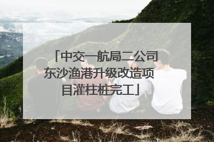 中交一航局二公司东沙渔港升级改造项目灌柱桩完工