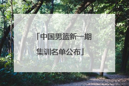 中国男篮新一期集训名单公布