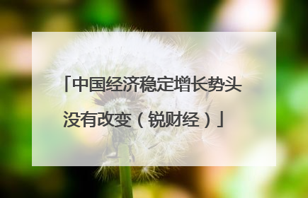 中国经济稳定增长势头没有改变（锐财经）
