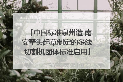 中国标准泉州造 南安牵头起草制定的多线切割机团体标准启用