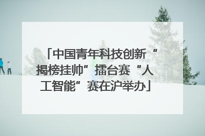 中国青年科技创新“揭榜挂帅”擂台赛“人工智能”赛在沪举办
