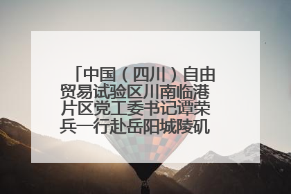 中国（四川）自由贸易试验区川南临港片区党工委书记谭荣兵一行赴岳阳城陵矶综保区考察