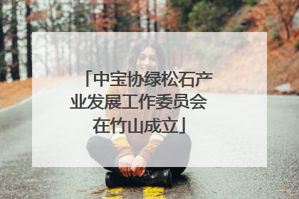 中宝协绿松石产业发展工作委员会在竹山成立