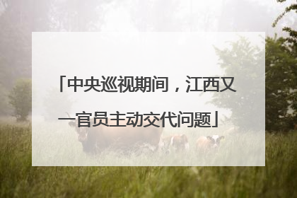 中央巡视期间，江西又一官员主动交代问题