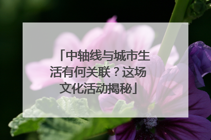中轴线与城市生活有何关联？这场文化活动揭秘