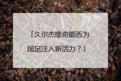 久尔杰维奇能否为国足注入新活力？