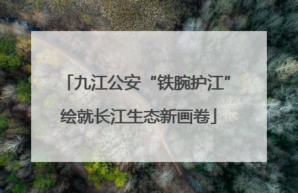 九江公安“铁腕护江”绘就长江生态新画卷
