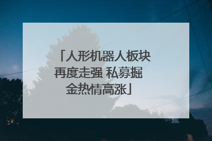人形机器人板块再度走强 私募掘金热情高涨