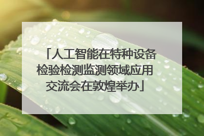 人工智能在特种设备检验检测监测领域应用交流会在敦煌举办