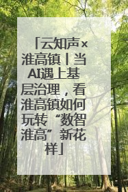 云知声×淮高镇丨当AI遇上基层治理，看淮高镇如何玩转“数智淮高”新花样