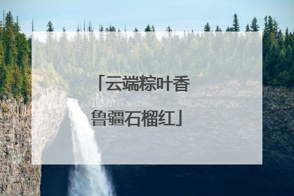云端粽叶香 鲁疆石榴红
