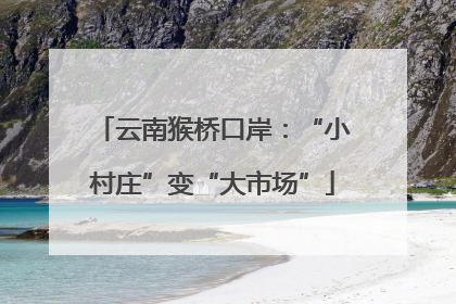 云南猴桥口岸：“小村庄”变“大市场”