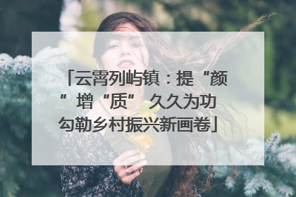 云霄列屿镇：提“颜”增“质” 久久为功勾勒乡村振兴新画卷