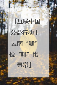 互联中国公益行动丨云南“咖”位“啡”比寻常