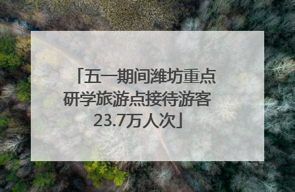 五一期间潍坊重点研学旅游点接待游客23.7万人次