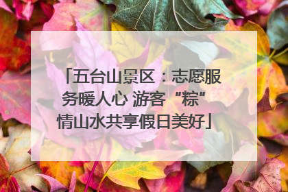五台山景区：志愿服务暖人心 游客“粽”情山水共享假日美好