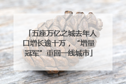 五座万亿之城去年人口增长逾十万，“增量冠军”重回一线城市