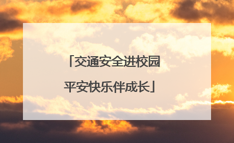 交通安全进校园 平安快乐伴成长