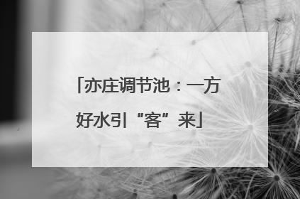 亦庄调节池：一方好水引“客”来