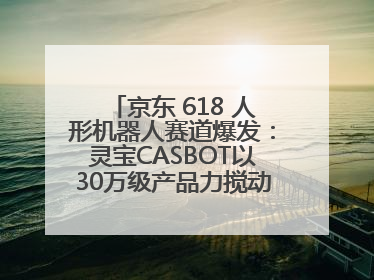 京东 618 人形机器人赛道爆发：灵宝CASBOT以30万级产品力搅动行业新变局