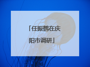 任振鹤在庆阳市调研
