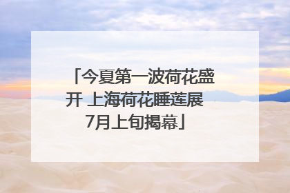 今夏第一波荷花盛开 上海荷花睡莲展7月上旬揭幕
