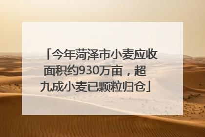 今年菏泽市小麦应收面积约930万亩，超九成小麦已颗粒归仓