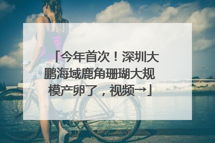 今年首次！深圳大鹏海域鹿角珊瑚大规模产卵了，视频→