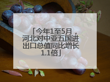 今年1至5月，河北对中亚五国进出口总值同比增长1.1倍