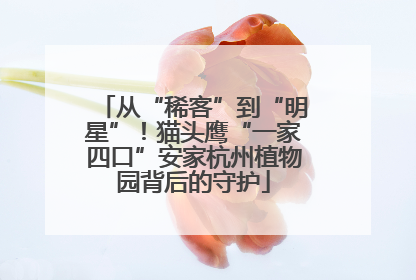 从“稀客”到“明星”！猫头鹰“一家四口”安家杭州植物园背后的守护