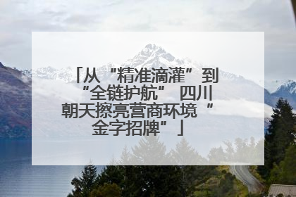 从“精准滴灌”到“全链护航” 四川朝天擦亮营商环境“金字招牌”