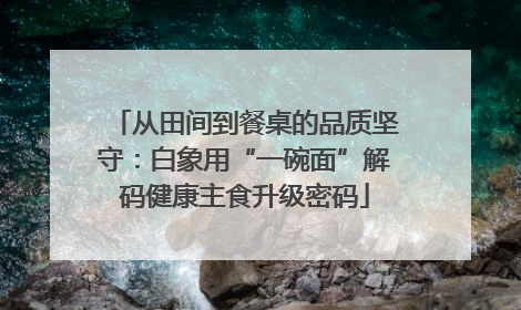 从田间到餐桌的品质坚守：白象用“一碗面”解码健康主食升级密码