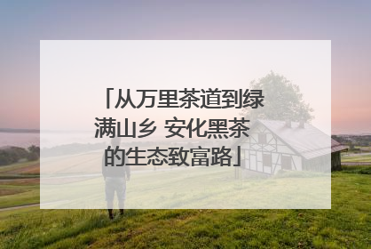 从万里茶道到绿满山乡 安化黑茶的生态致富路