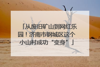 从废旧矿山到网红乐园！济南市钢城区这个小山村成功“变身”