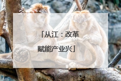 从江：改革赋能产业兴