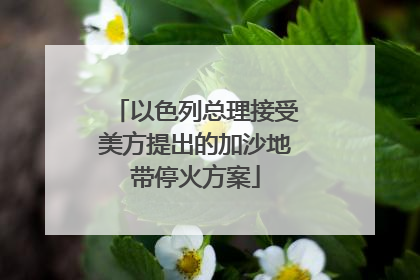 以色列总理接受美方提出的加沙地带停火方案