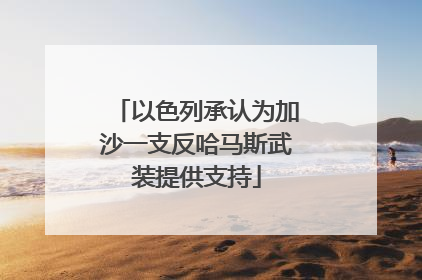 以色列承认为加沙一支反哈马斯武装提供支持