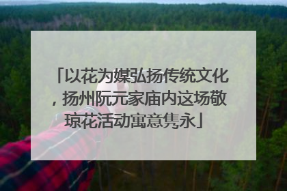 以花为媒弘扬传统文化，扬州阮元家庙内这场敬琼花活动寓意隽永