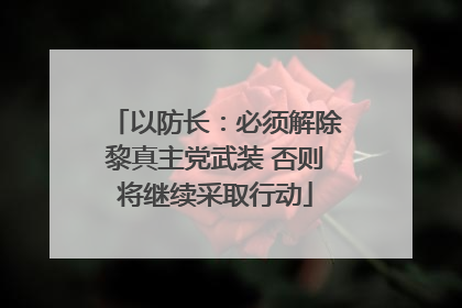 以防长：必须解除黎真主党武装 否则将继续采取行动